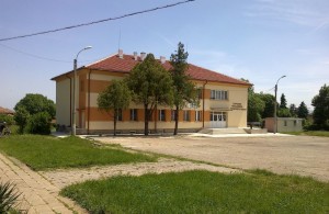 bahovica.jpg
