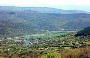 Лешница