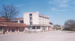 Владиня