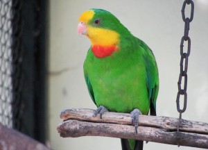 Snap13.jpg