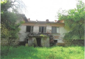 2.080623-9_.JPG